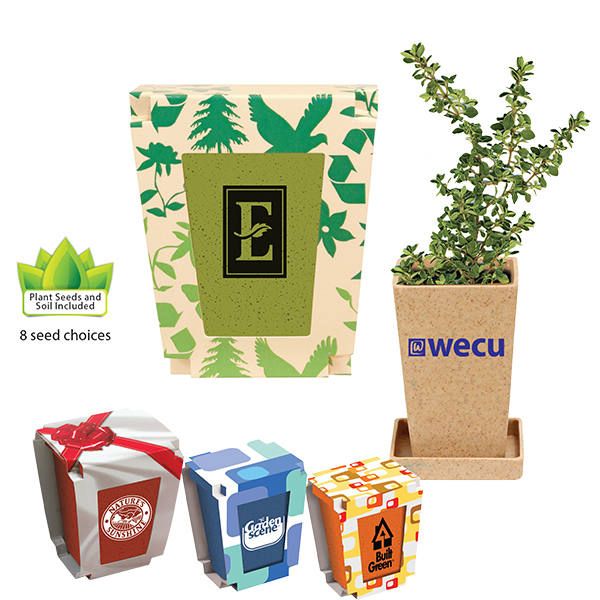 Plant Kit